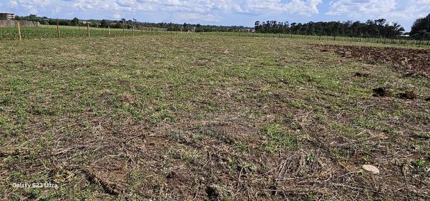 Prime 1/4 Plots for Sale in Marura Kimumu in Eldoret