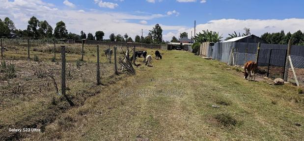 Prime Plot for Sale in Royalton Annex Eldoret