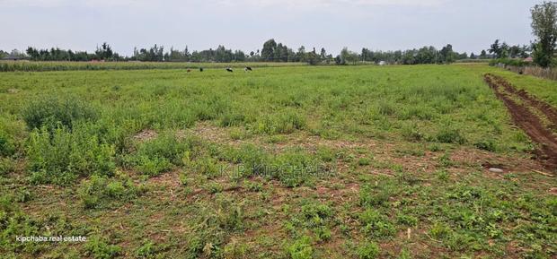 Commercial Plots Touching Highway Illula Eldoret