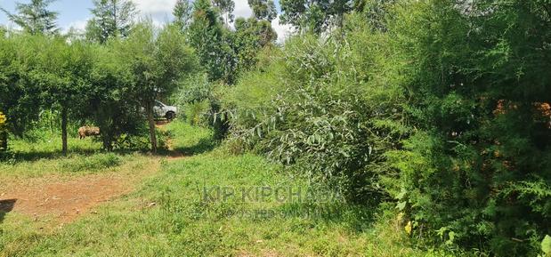 2 Plots For Sale In Kamagut Eldoret