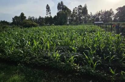 1/2 Acre With 2 Bedrooms for Sale in Kipkenyo Eldoret Simat