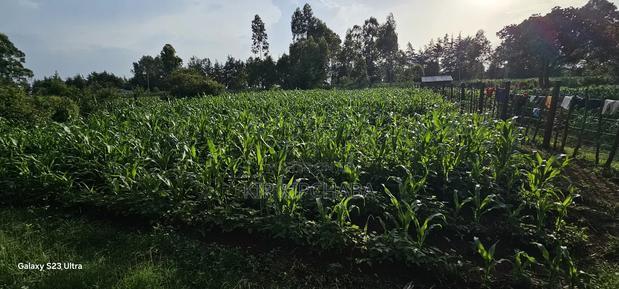 1/2 Acre With 2 Bedrooms for Sale in Kipkenyo Eldoret Simat