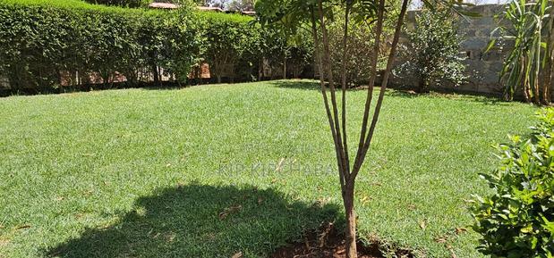 5bedroom Mansion for Sale in Elgonview Eldoret