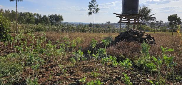 Prime Plot for Sale in Kapsoya Deligacy in Eldoret