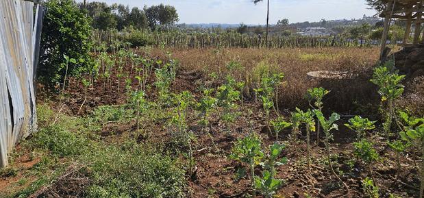 Prime Plot for Sale in Kapsoya Deligacy in Eldoret