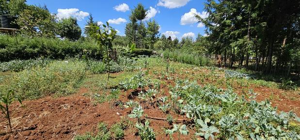 3bdrm Farm House in Kapseret for sale