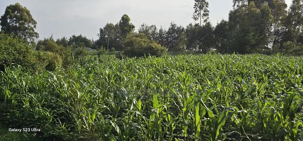 1/2 Acre With 2 Bedrooms for Sale in Kipkenyo Eldoret Simat