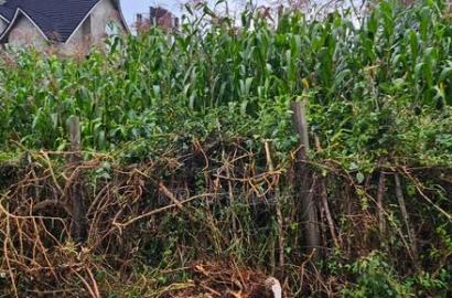 1/4 Plot for Sale in Hillside Eldoret