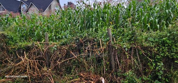 1/4 Plot for Sale in Hillside Eldoret