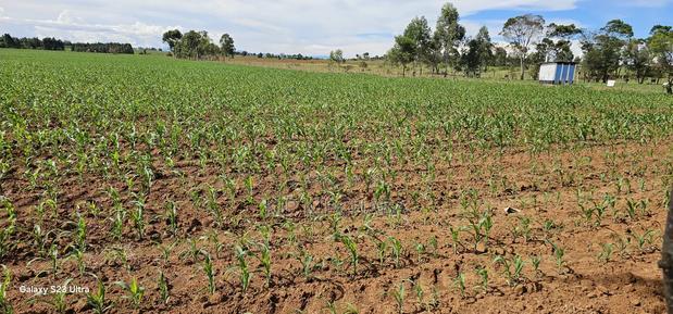 4 Acres for Sale in Kapropu Eldoret Fully Arable