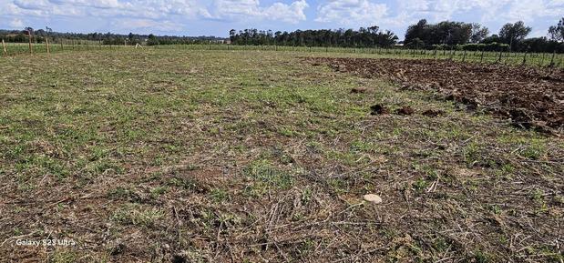 Prime 1/4 Plots for Sale in Marura Kimumu in Eldoret