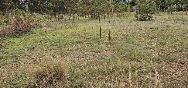 Prime Plots for Sale in Segero Kipkenyo