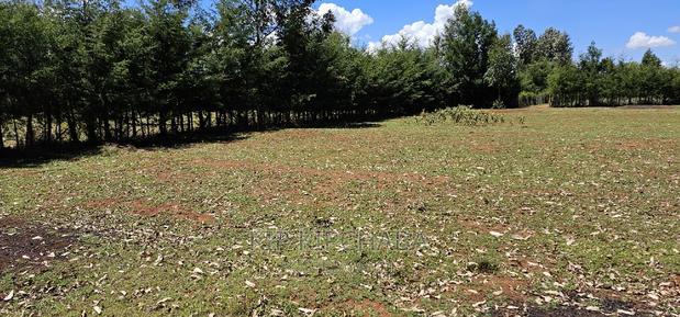 Plots for Sale in Racecours Borderingelgonview in Eldoret