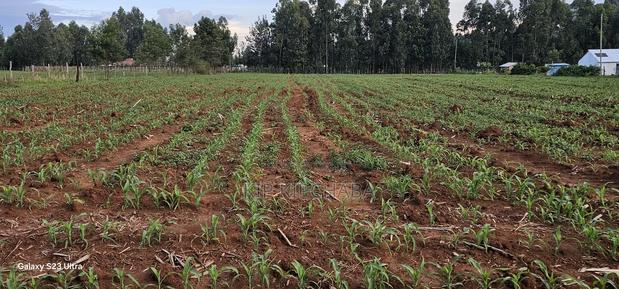 2 Acres for Sale in Say Eldoret
