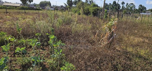 Prime Plot for Sale in Kapsoya Deligacy in Eldoret