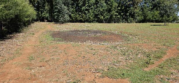 Plots for Sale in Racecours Borderingelgonview in Eldoret