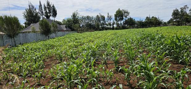 Prime 1/2 Acre for Sale in Kiplombe Eldoret