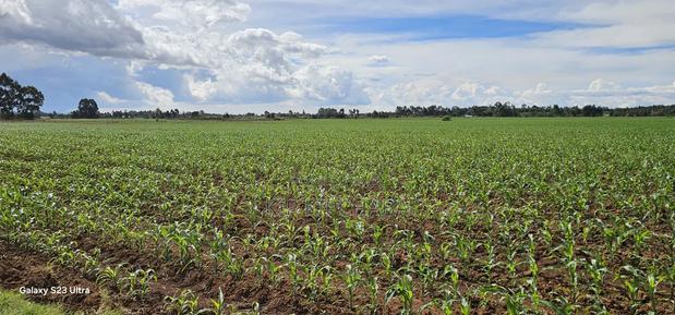 4 Acres for Sale in Kapropu Eldoret Fully Arable
