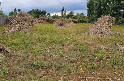 1/4 Plot For Sale In Kiplombe Eldoret