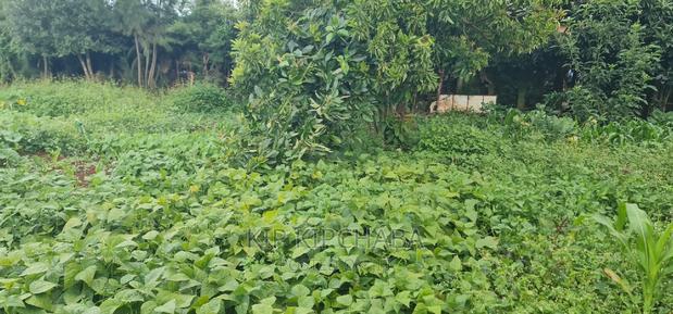 1bdrm House in Annex, Racecourse for sale