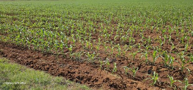 4 Acres for Sale in Kapropu Eldoret Fully Arable