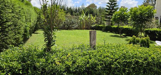 5bedroom Mansion for Sale in Elgonview Eldoret