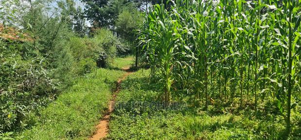 2 Plots For Sale In Kamagut Eldoret