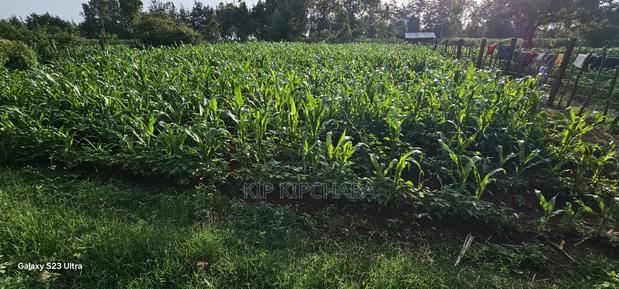 1/2 Acre With 2 Bedrooms for Sale in Kipkenyo Eldoret Simat