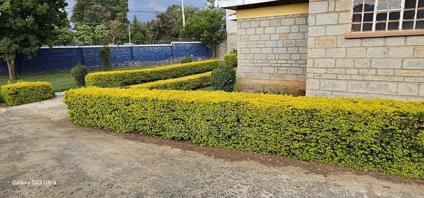 4bdrm Bungalow in Elgonview for sale