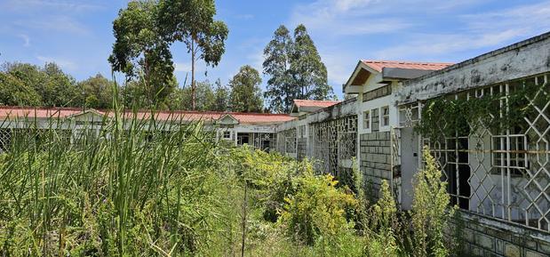20bdrm Apartment in Elgonview for sale