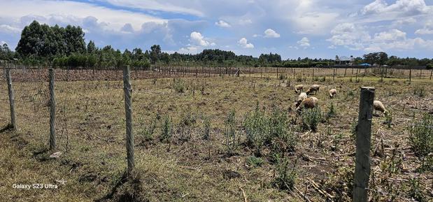 Prime Plot for Sale in Royalton Annex Eldoret