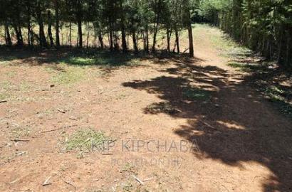 Plots for Sale in Racecours Borderingelgonview in Eldoret