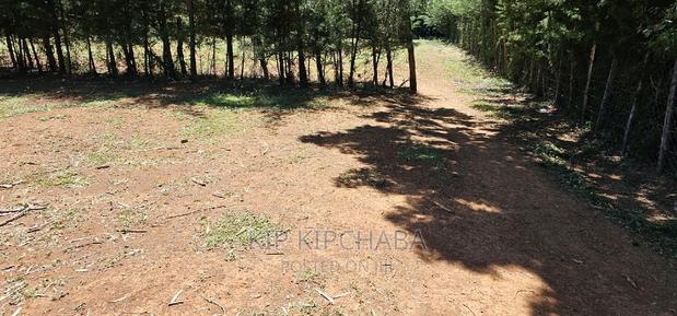 Plots for Sale in Racecours Borderingelgonview in Eldoret