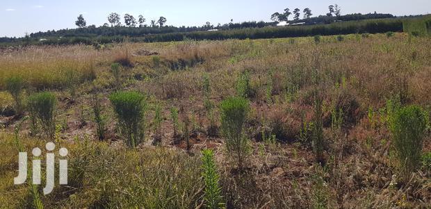 Residential Plots for Sale in Kapjagir in Eldoret