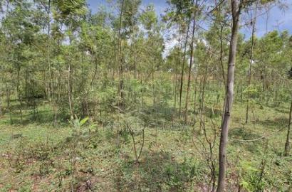 1 Acre for Sale in Mlango Near Ngara Falls Kapseret Eldoret