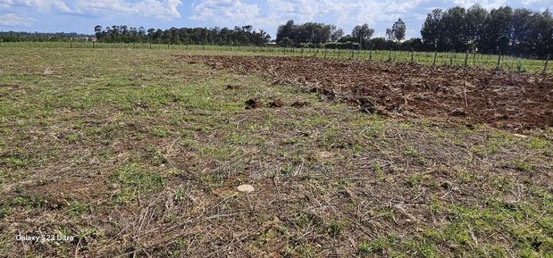 Prime 1/4 Plots for Sale in Marura Kimumu in Eldoret