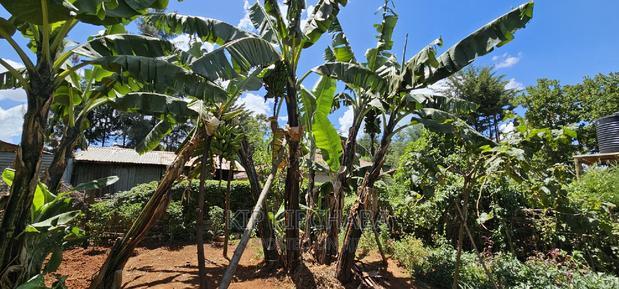 3bdrm Farm House in Kapseret for sale