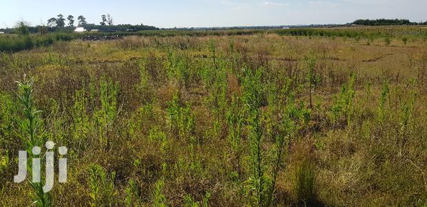 Residential Plots for Sale in Kapjagir in Eldoret