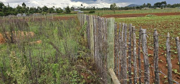 1/4 Plot for Sale in Kaptuli Chembulet Dispensary Eldoret