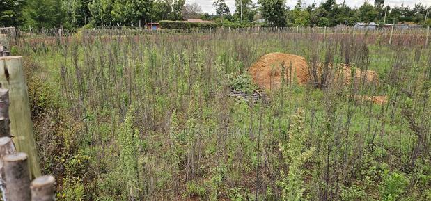 1/4 Plot for Sale in Kaptuli Chembulet Dispensary Eldoret