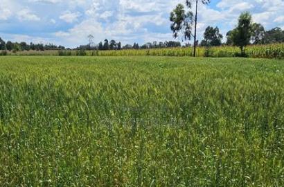2.5 Acres Fully Arable for Sale in Kiplombe in Eldoret Kiili