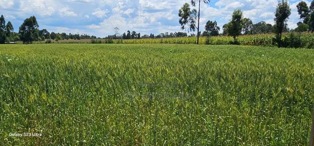 2.5 Acres Fully Arable for Sale in Kiplombe in Eldoret Kiili