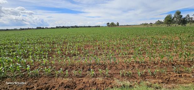 4 Acres for Sale in Kapropu Eldoret Fully Arable