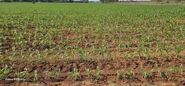 4 Acres for Sale in Kapropu Eldoret Fully Arable