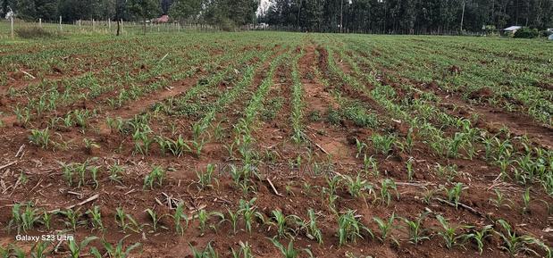 2 Acres for Sale in Say Eldoret