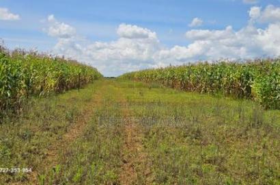 Prime Plots for Sale in Illula Limo in Eldoret