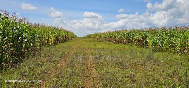 Prime Plots for Sale in Illula Limo in Eldoret