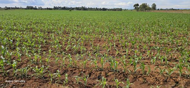 4 Acres for Sale in Kapropu Eldoret Fully Arable