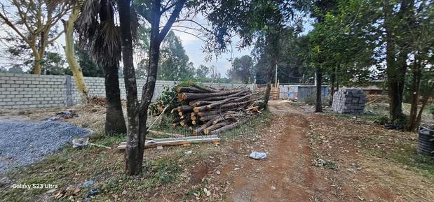 1/2 Acre for Sale in Elgonview Eldoret With Perimetre Wall