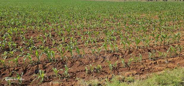 4 Acres for Sale in Kapropu Eldoret Fully Arable